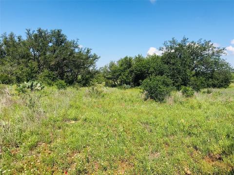 395 County Road 175, Bangs, TX 76823 photo 29