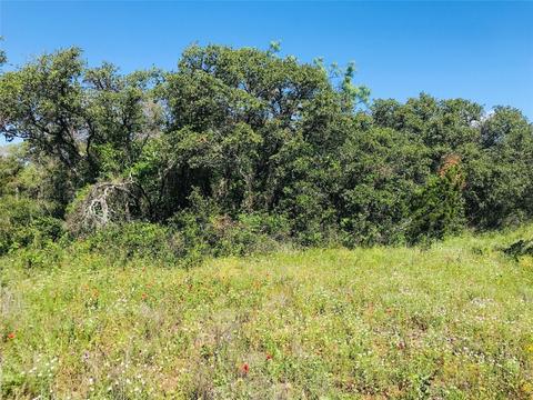 395 County Road 175, Bangs, TX 76823 photo 4