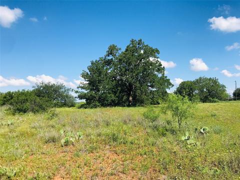 395 County Road 175, Bangs, TX 76823 photo 28