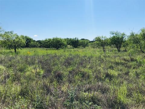 395 County Road 175, Bangs, TX 76823 photo 10