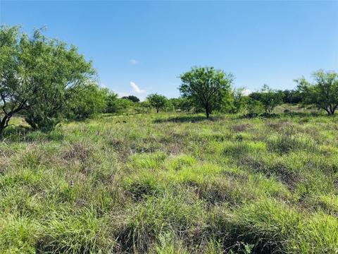 395 County Road 175, Bangs, TX 76823 photo 12