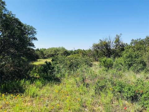 395 County Road 175, Bangs, TX 76823 photo 19