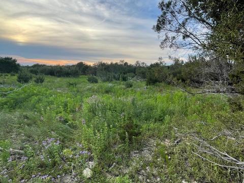 Tbd Wd Court, Lipan, TX 76462
