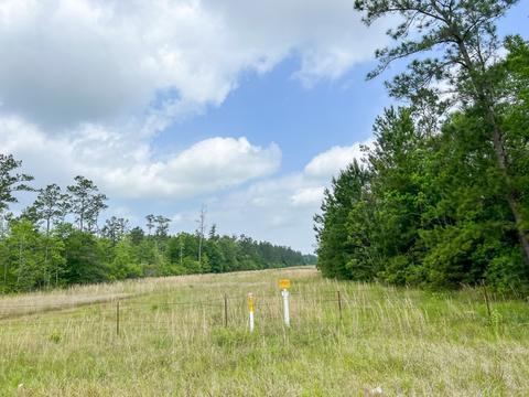 000000 Cravens Camp Rd, Silsbee, TX 77656 photo 5