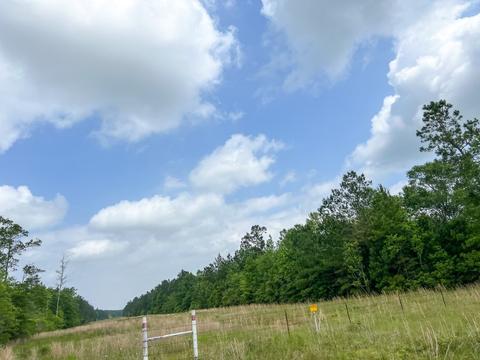 000000 Cravens Camp Rd, Silsbee, TX 77656 photo 4