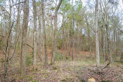 0 Sh 315, Mount Enterprise, TX 75681