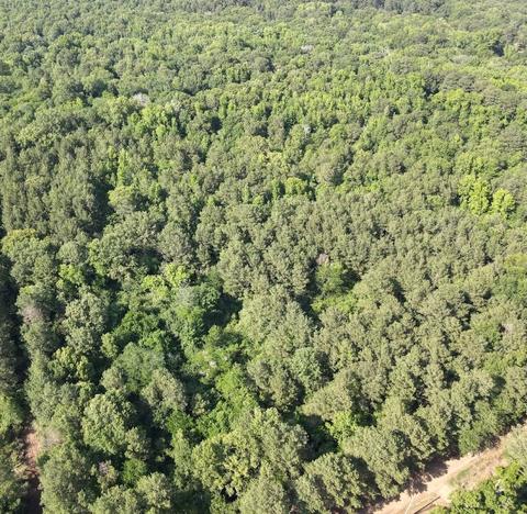 00 Shaffer Dr, Benton, LA 71006