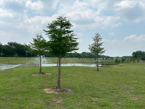 167 Stirling Dr, Argyle, TX 76226 photo 38