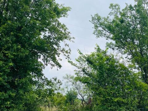 Tbd Hcr 3350 N, Hubbard, TX 76648