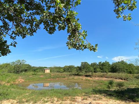 Tbd County Road 215, Rising Star, TX 76471