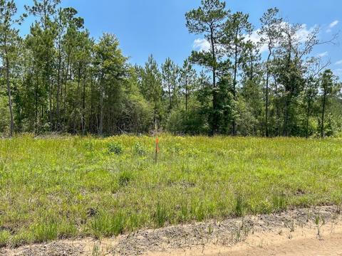 Tbd Grimes Cemetary Road, Lufkin, TX 75901