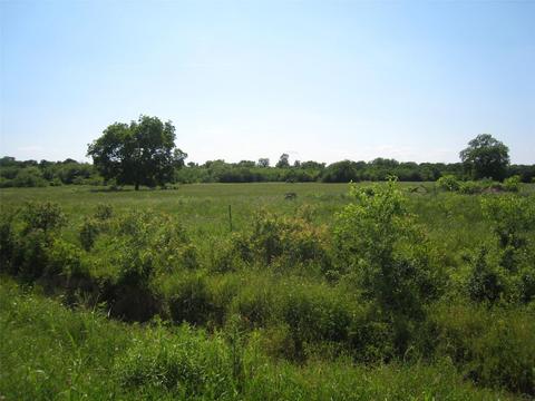 34 Ac County Rd 1083, Celeste, TX 75423