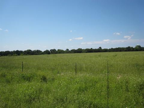 10 Ac County Rd 1083, Celeste, TX 75423 photo 3