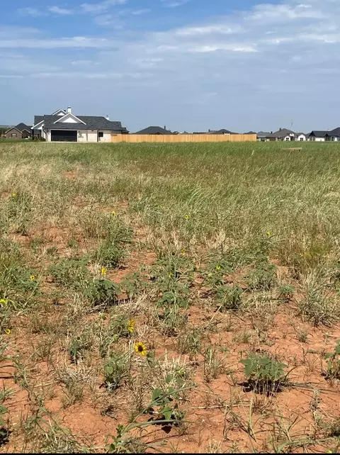 141 Sparrow Hills Ln, Tuscola, TX 79562