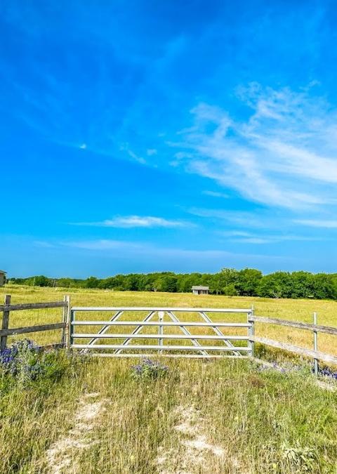 6002 NE Cr 1030 B, Rice, TX 75155