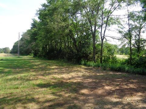 Tbd S Cr 2381, Winnsboro, TX 75494