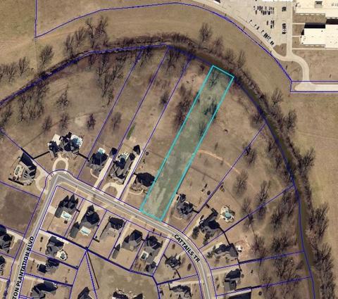 272 Cattail Trl, Benton, LA 71006