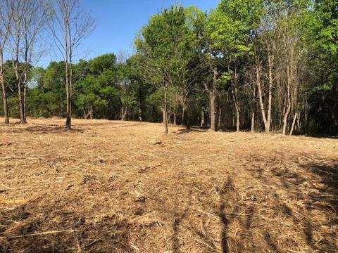 0 Bluffview #52, Corsicana, TX 75109
