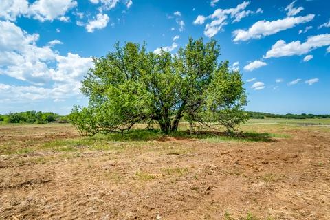 Tract 1 Fm 61, Graham, TX 76450