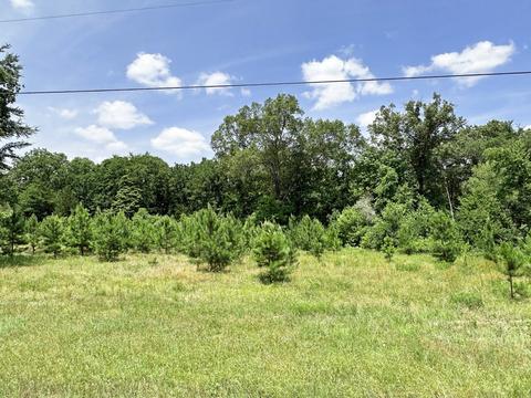Lot 28 Lee Road, Murchison, TX 75778