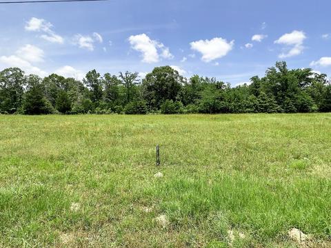 Lot 30 Lee Road, Murchison, TX 75778