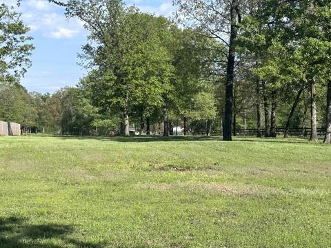 Tbd Cr 2910, Pittsburg, TX 75686