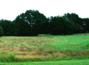 35005 Shadywood Ln, Whitney, TX 76692