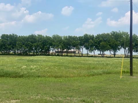 2 Celtic Road, Howe, TX 75459 photo 7