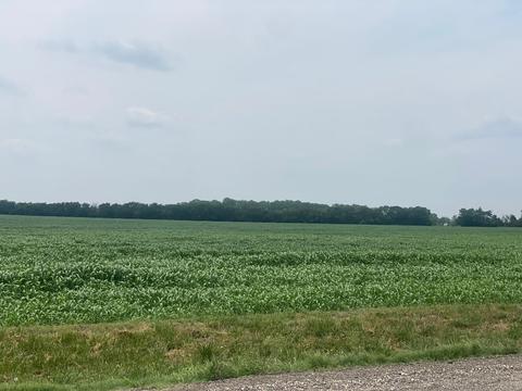2 Celtic Road, Howe, TX 75459 photo 9