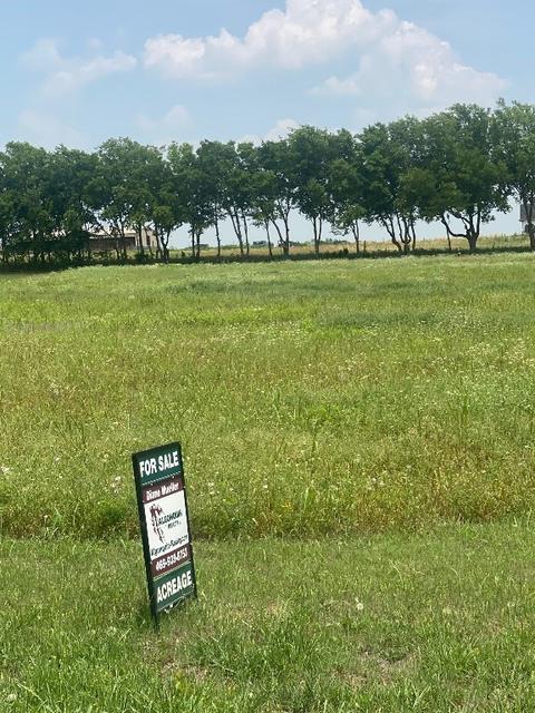 2 Celtic Road, Howe, TX 75459 photo 8