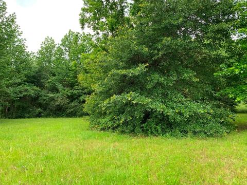 42 An County Road 3009, Frankston, TX 75763