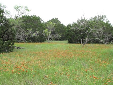 tbd Lot 41 Pr 42107, Evant, TX 76525