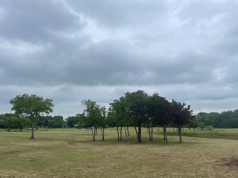 131 Creekwood Dr Bermuda Dr, Blum, TX 76627