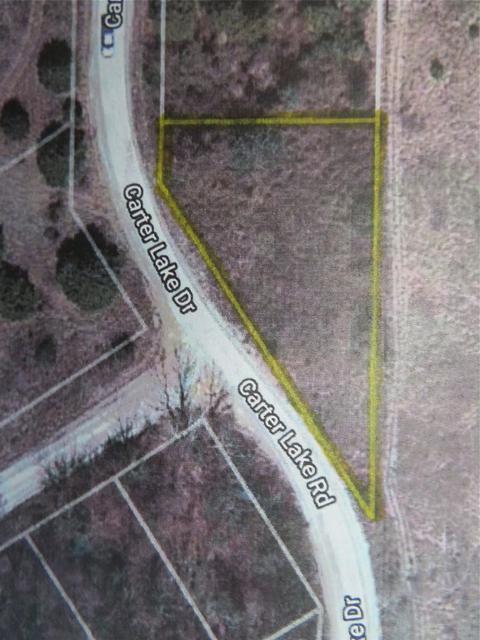 Tbd Carter Lake Road, Bowie, TX 76230