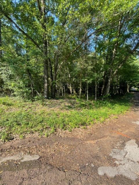 Tbd 4912 At 4903, Ben Wheeler, TX 75754