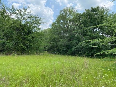 Tbd Oak Street, Eustace, TX 75124