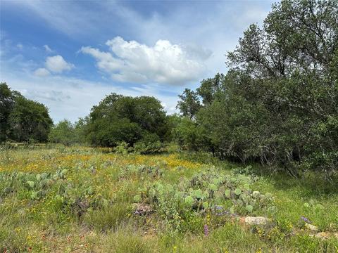 Tbd Woods Landing Drive, Brownwood, TX 76801