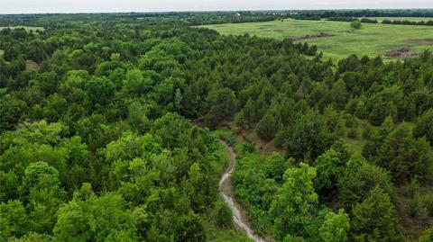 tbd County Rd 2909, Dodd City, TX 75438