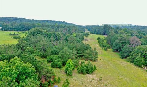 Tbd Fm 315, Palestine, TX 75803