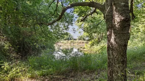 3322 County Road 1105, Celeste, TX 75423 photo 31