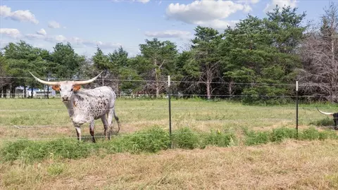 3322 County Road 1105, Celeste, TX 75423 photo 38