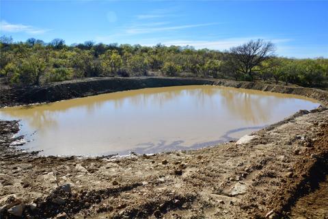 Tbd Farm Market 574, Mullin, TX 76864