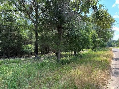 Tract #2, Fairfield, TX 75840