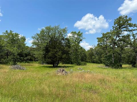 Tract 8, Fairfield, TX 75840