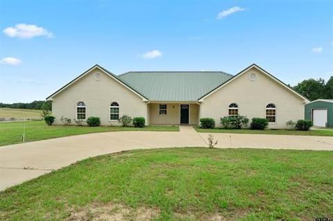 4337 Cr 401 S, Henderson, TX 75654