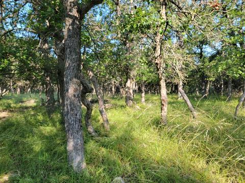 Tbd Thunderbird Drive, May, TX 76857