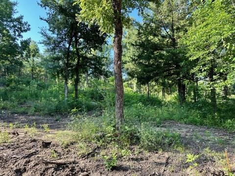 Tbd Pecan Gap Drive, Denison, TX 75020