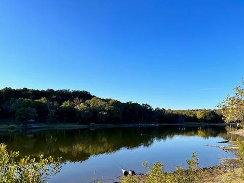 Lt 92 Fallow Run, Larue, TX 75770