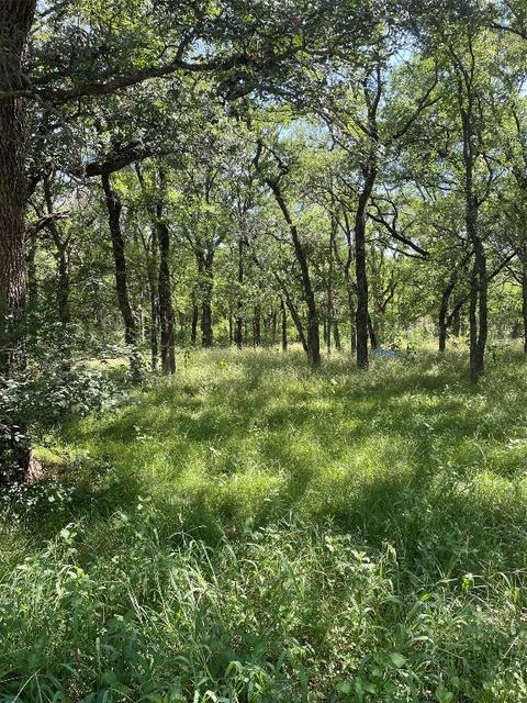 162 Hcr 2130, Whitney, TX 76692