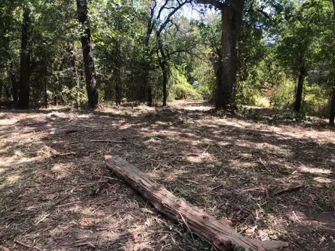 00 Briarwood Ln, Kemp, TX 75143